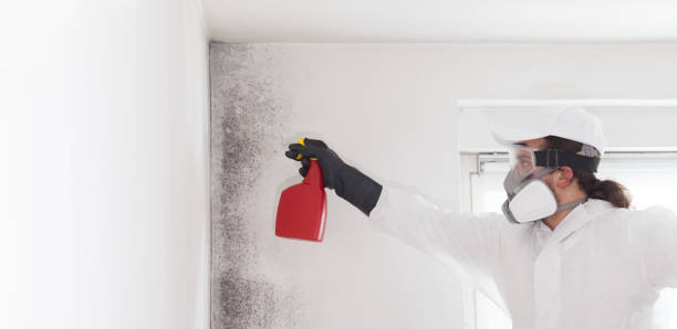 Best Toxic Mold Removal  in Kaukauna, WI